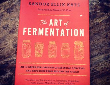 The Art of Fermentation: Benefits and Techniques