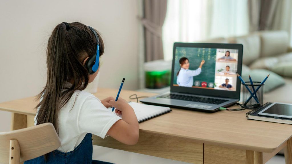 Remote Learning: Long-Term Effects on Students and Educational Systems